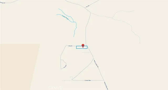 a white vase with flowers on it