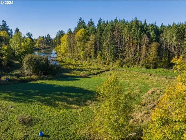 a backyard of a house with plants and outdoor seating