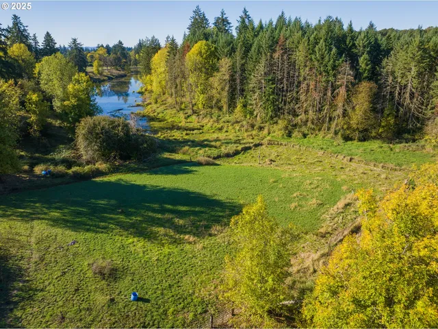 a view of yard with swimming pool and green space