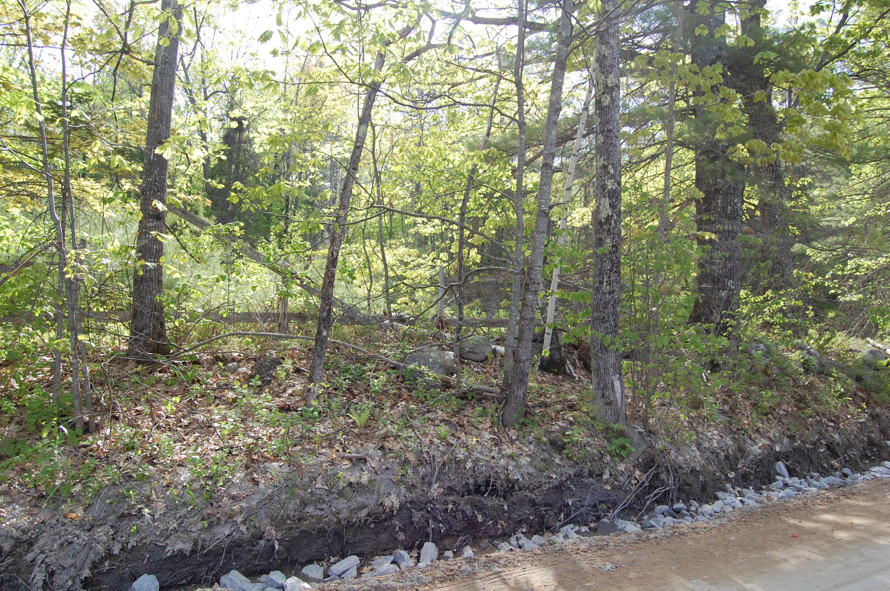 Lot A Cobb Hill Road Otisfield, ME 04270 - Photo 5 of 10 DSC_1013