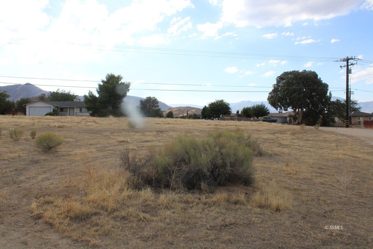 Goat Ranch Rd Lake Mountain Mesa, CA 93240 - Photo 6 of 6