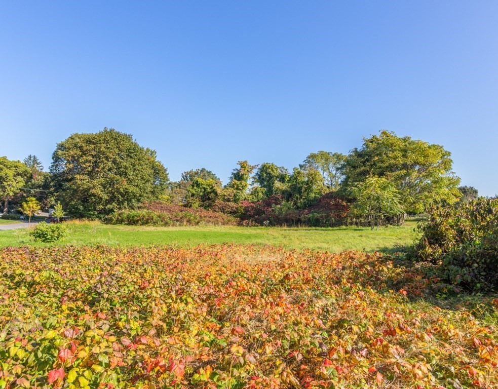 8 Blossom Street Lexington, MA 02421 - Photo 41 of 42 Gallery Image 41