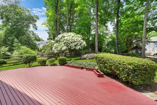a view of a backyard with potted plants and large trees