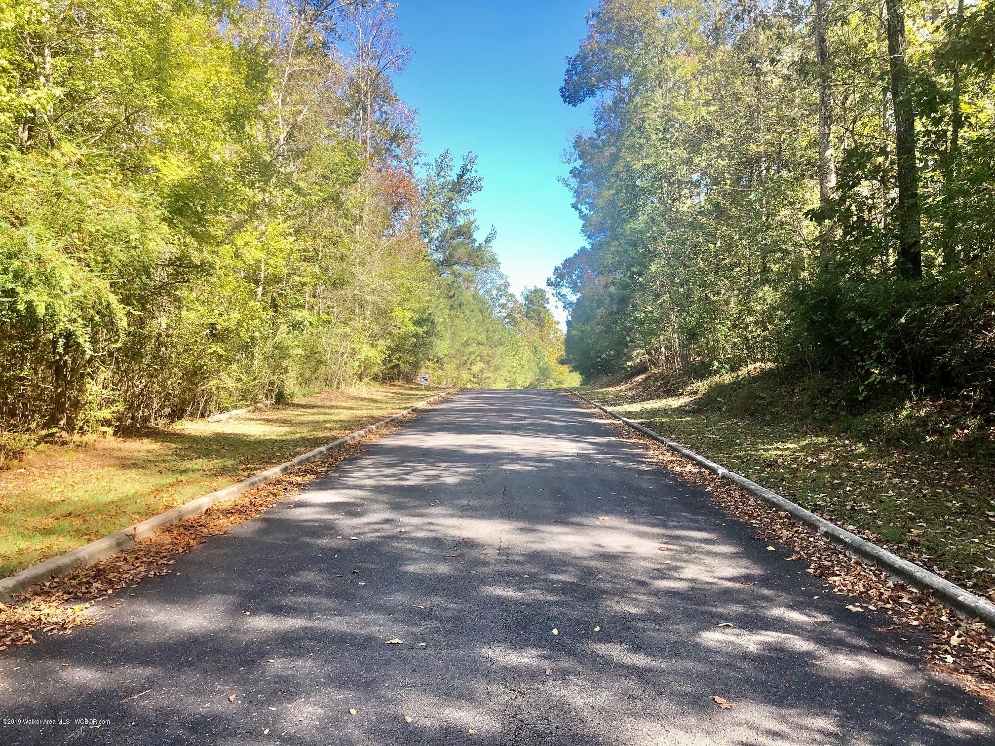 Lot 4 Magnolia Ridge Drive Jasper, AL 35504 - Photo 2 of 4 Gallery Image 2