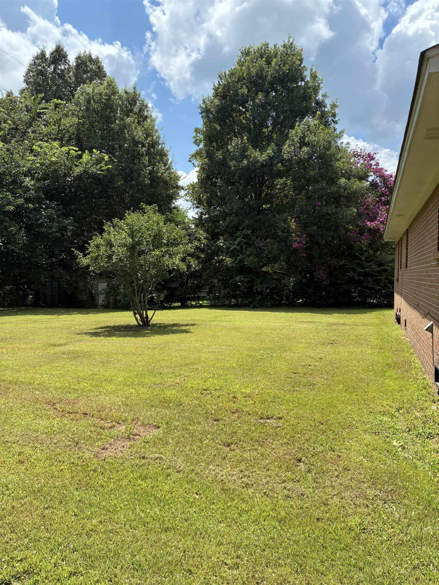 1421 Central Curve Road Ripley, TN 38063 - Photo 4 of 17 View of grassy yard featuring view of wooded area