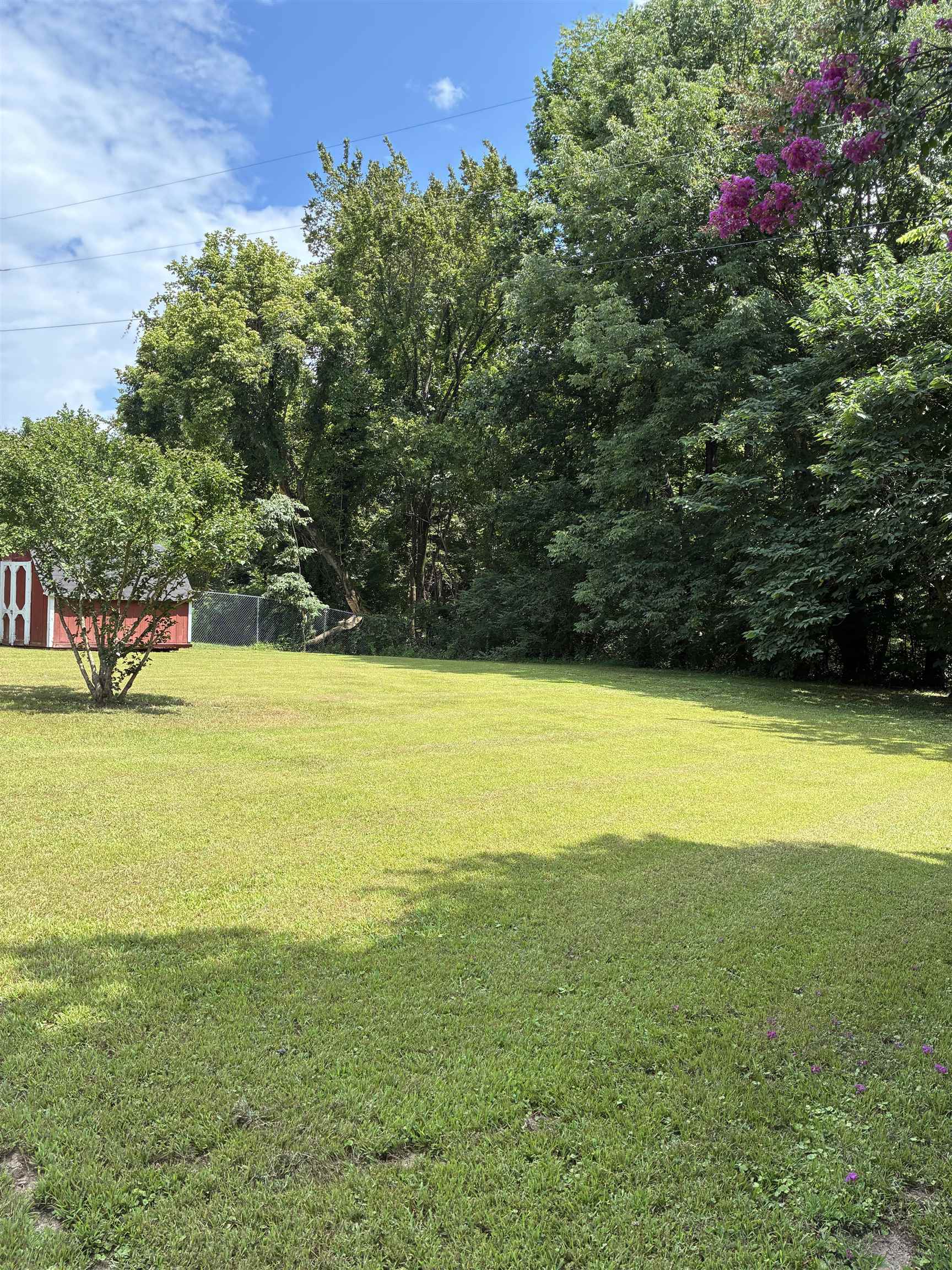 1421 Central Curve Road Ripley, TN 38063 - Photo 5 of 17 View of green lawn