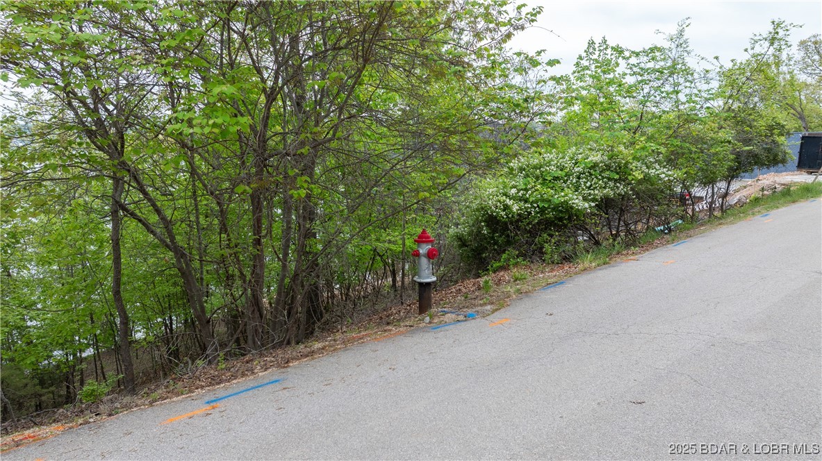 954A Las Campanas Court Sunrise Beach, MO 65079 - Photo 11 of 20