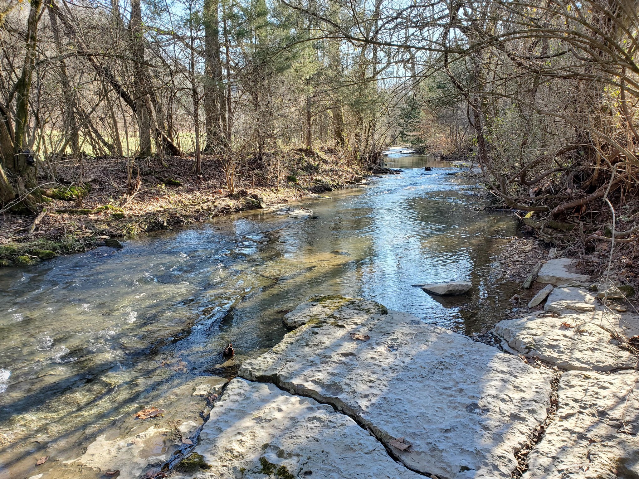 7412 River Rd Pike Nashville, TN 37209 - Photo 1 of 27 a view of a yard with trees