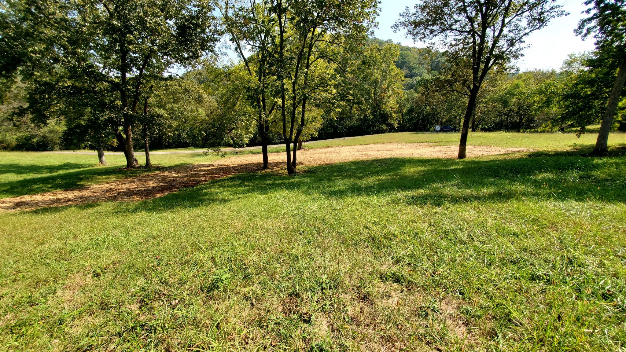 7412 River Rd Pike Nashville, TN 37209 - Photo 12 of 27 a view of yard with trees
