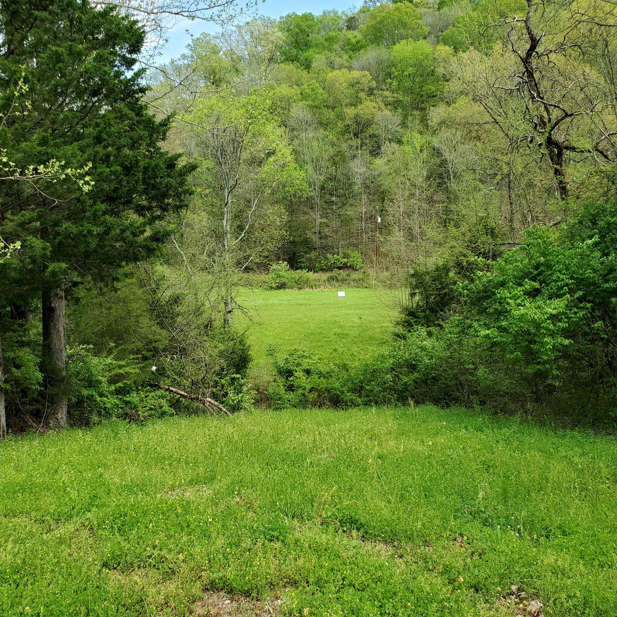 7412 River Rd Pike Nashville, TN 37209 - Photo 17 of 27 a view of yard with green space