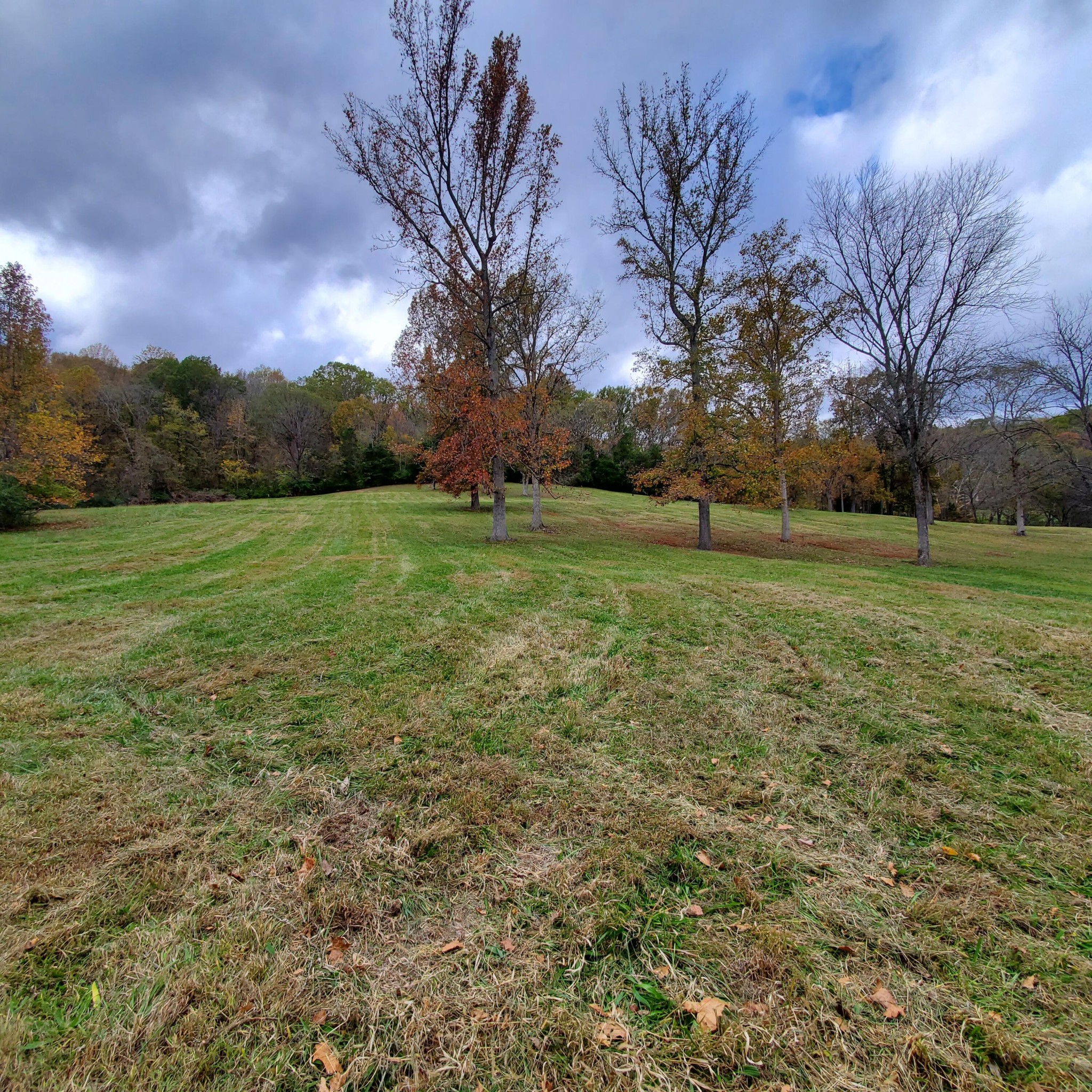 7412 River Rd Pike Nashville, TN 37209 - Photo 19 of 27 a view of outdoor space and yard