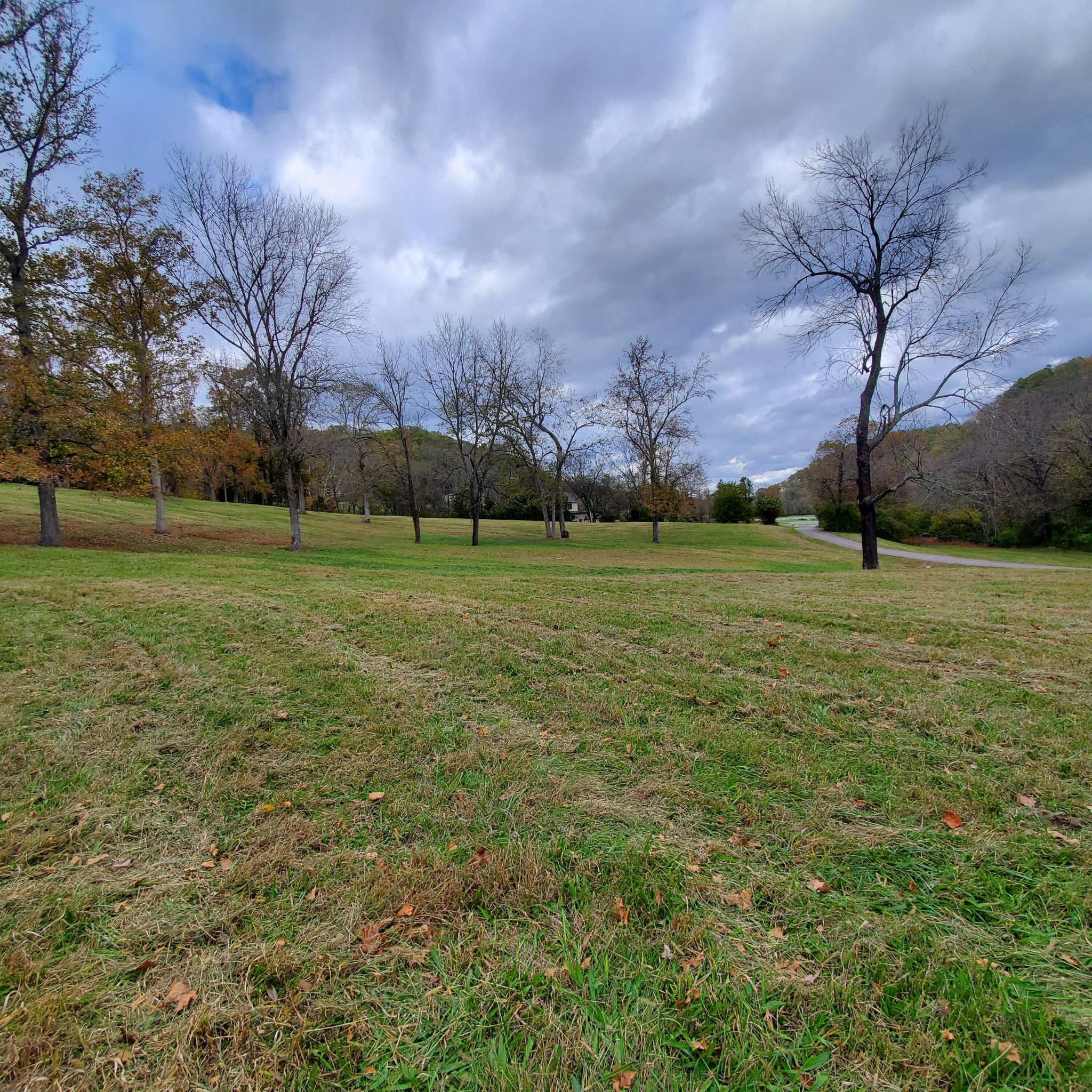 7412 River Rd Pike Nashville, TN 37209 - Photo 20 of 27 a view of a field with a tree in it
