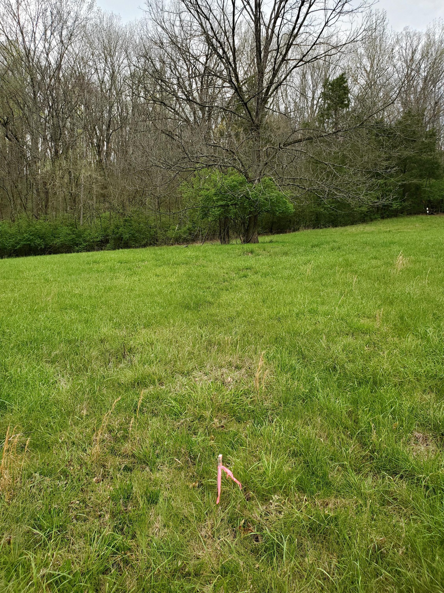 7412 River Rd Pike Nashville, TN 37209 - Photo 24 of 27 a view of yard with green space