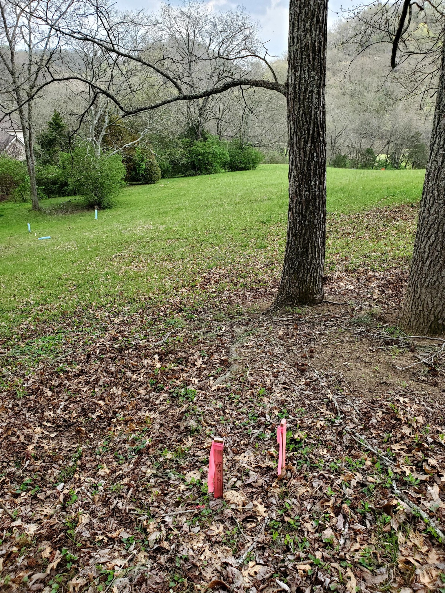 7412 River Rd Pike Nashville, TN 37209 - Photo 25 of 27 a blue sign that is sitting in the middle of a field