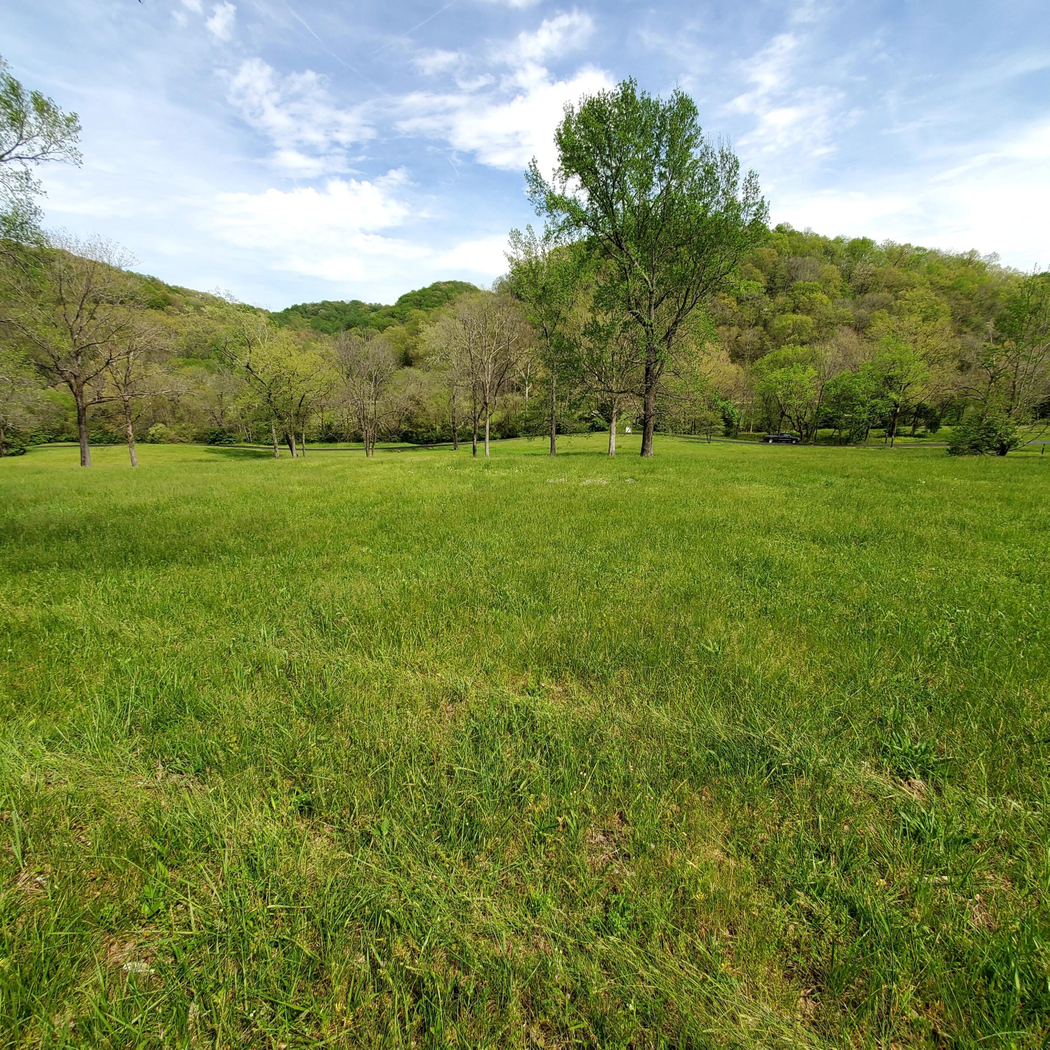 7412 River Rd Pike Nashville, TN 37209 - Photo 5 of 27 a view of a green field with mountains in the background