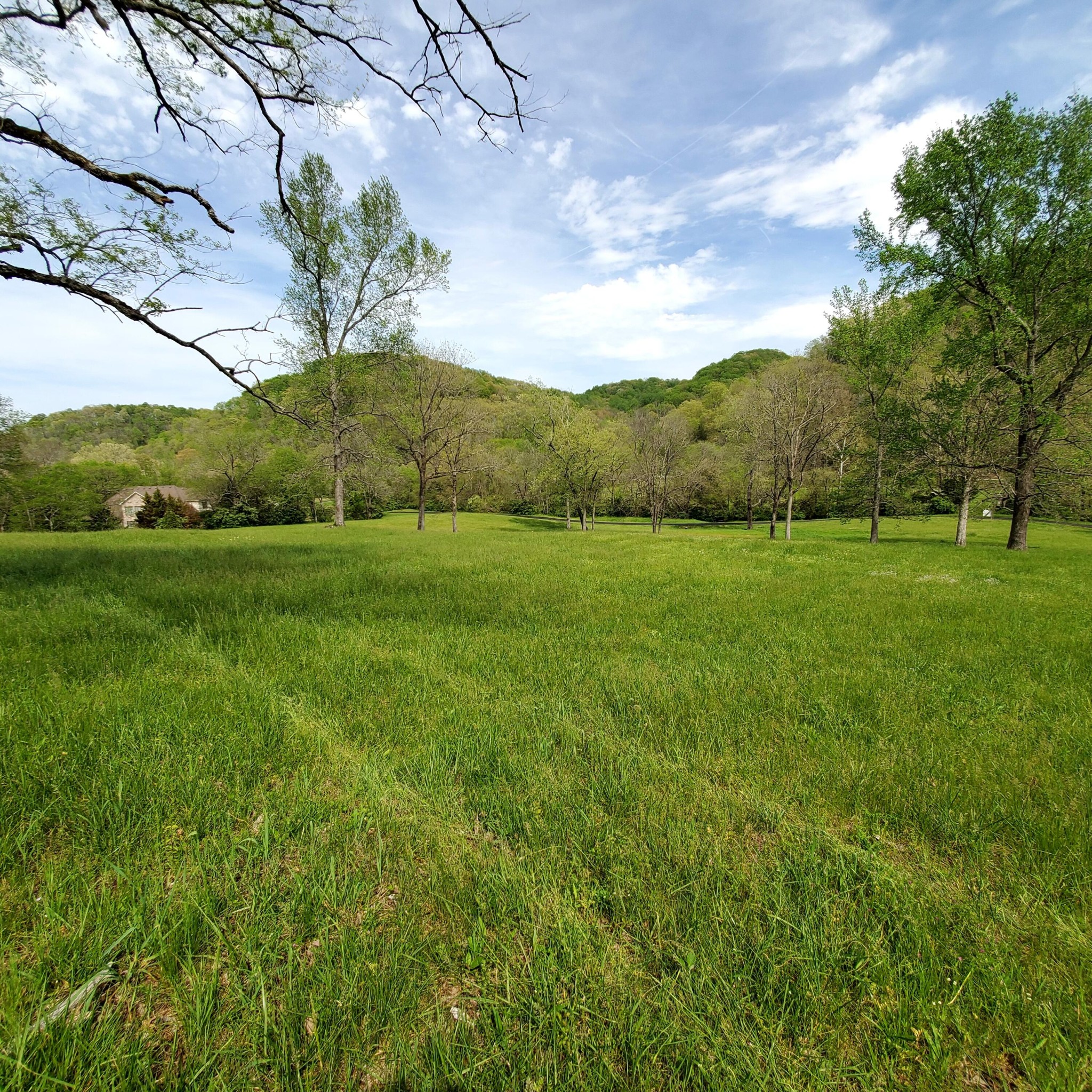 7412 River Rd Pike Nashville, TN 37209 - Photo 6 of 27 a view of an outdoor space and a yard