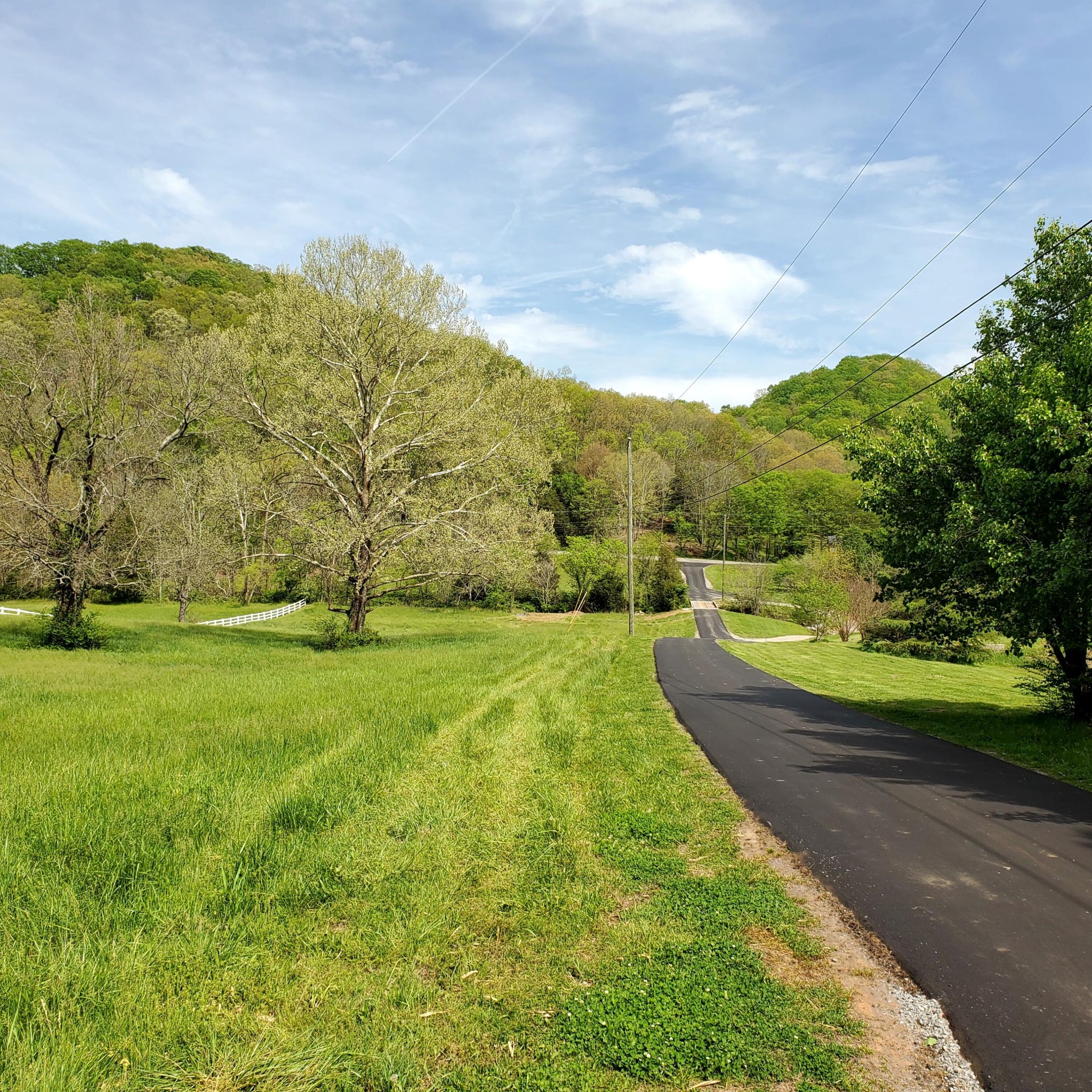 7412 River Rd Pike Nashville, TN 37209 - Photo 7 of 27 a view of a yard with an trees