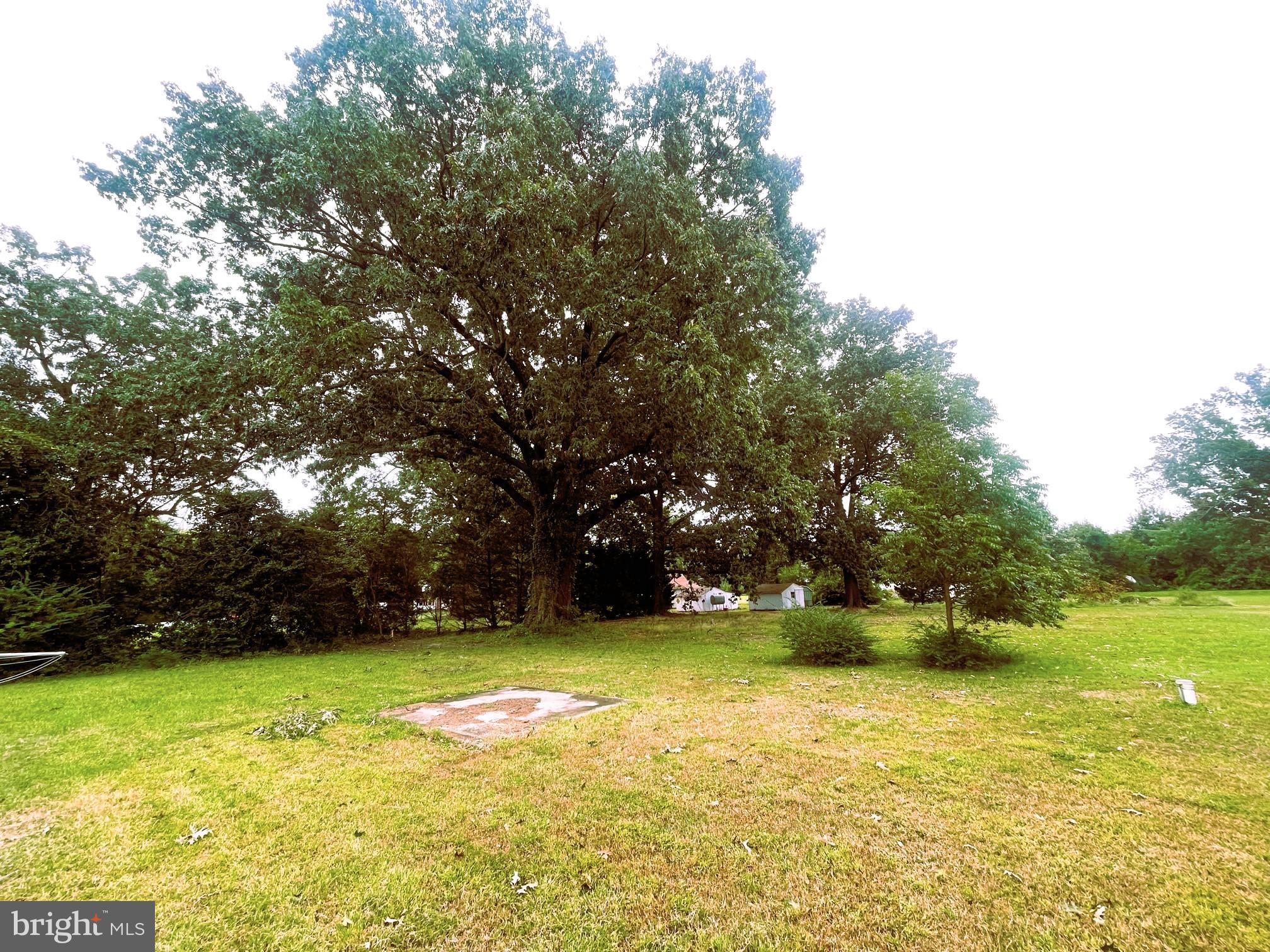7983 Bozman Neavitt Road Bozman, MD 21612 - Photo 3 of 5 a view of outdoor space with swimming pool