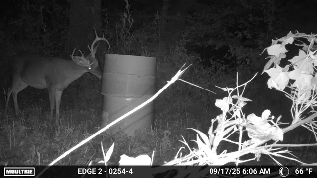 $650,000 | 1527 Glass Mill Road, Chickamauga, GA 30707