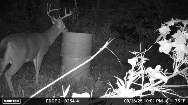 $650,000 | 1527 Glass Mill Road, Chickamauga, GA 30707