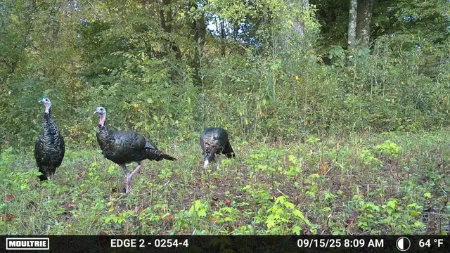 $650,000 | 1527 Glass Mill Road, Chickamauga, GA 30707