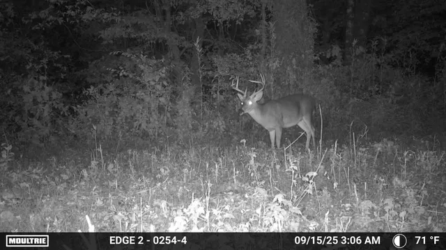 $650,000 | 1527 Glass Mill Road, Chickamauga, GA 30707