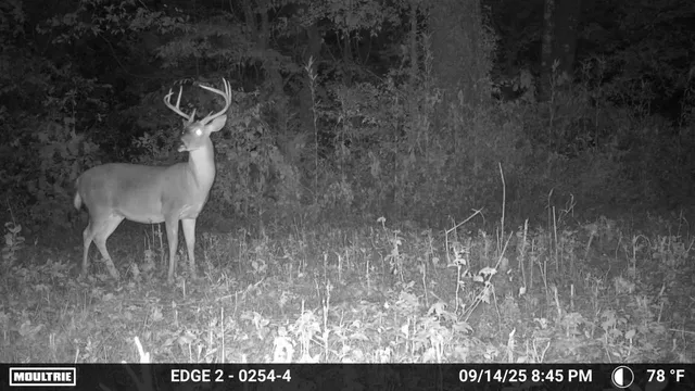 $650,000 | 1527 Glass Mill Road, Chickamauga, GA 30707