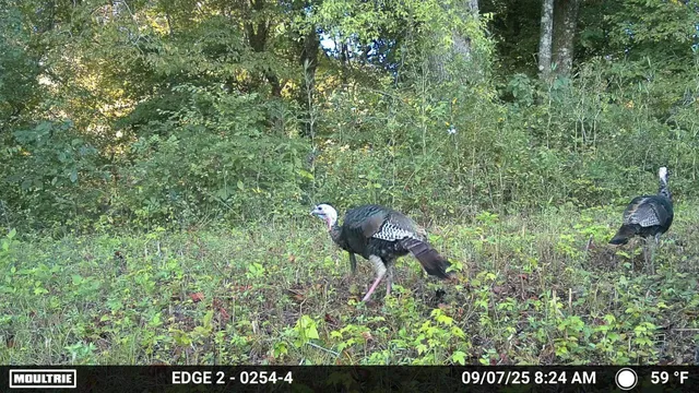 $650,000 | 1527 Glass Mill Road, Chickamauga, GA 30707