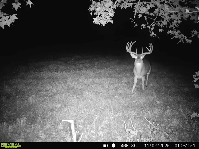 a view of wooden floor