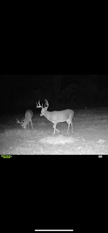 a view of a living room