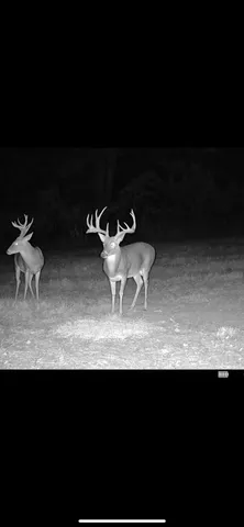a view of kitchen island with granite countertops