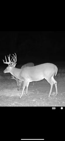 a vase of flowers sitting on a floor