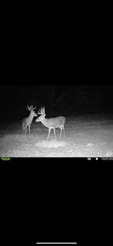 $215,735 | 2738 Naples Tx 75568, Naples, TX 75568