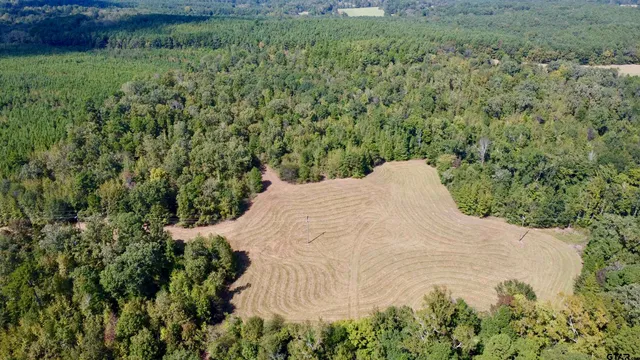 a view of a yard in a yard