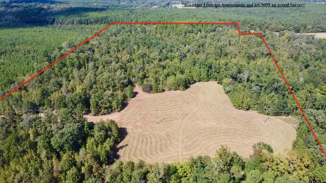 a view of a garden with a bench