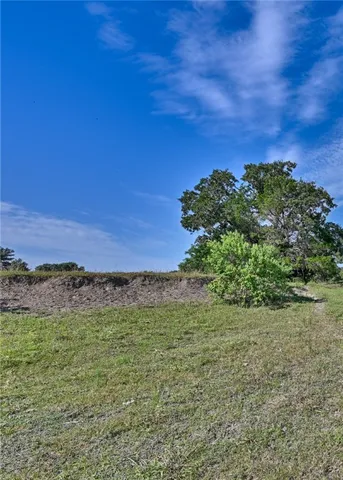a view of a yard with a tree