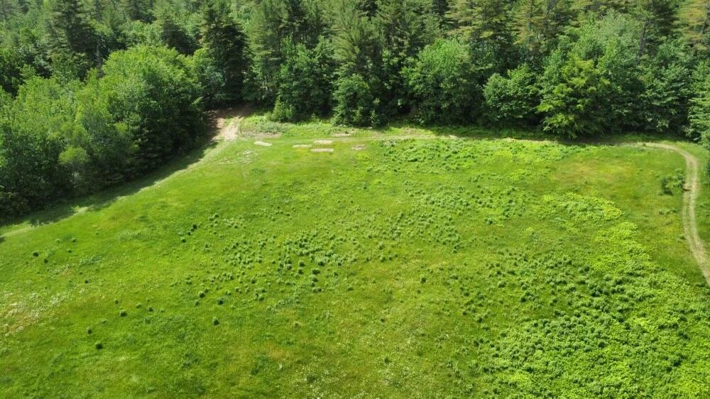 2230 Belgrade Road Sidney, ME 04330 - Photo 18 of 32 Pasture