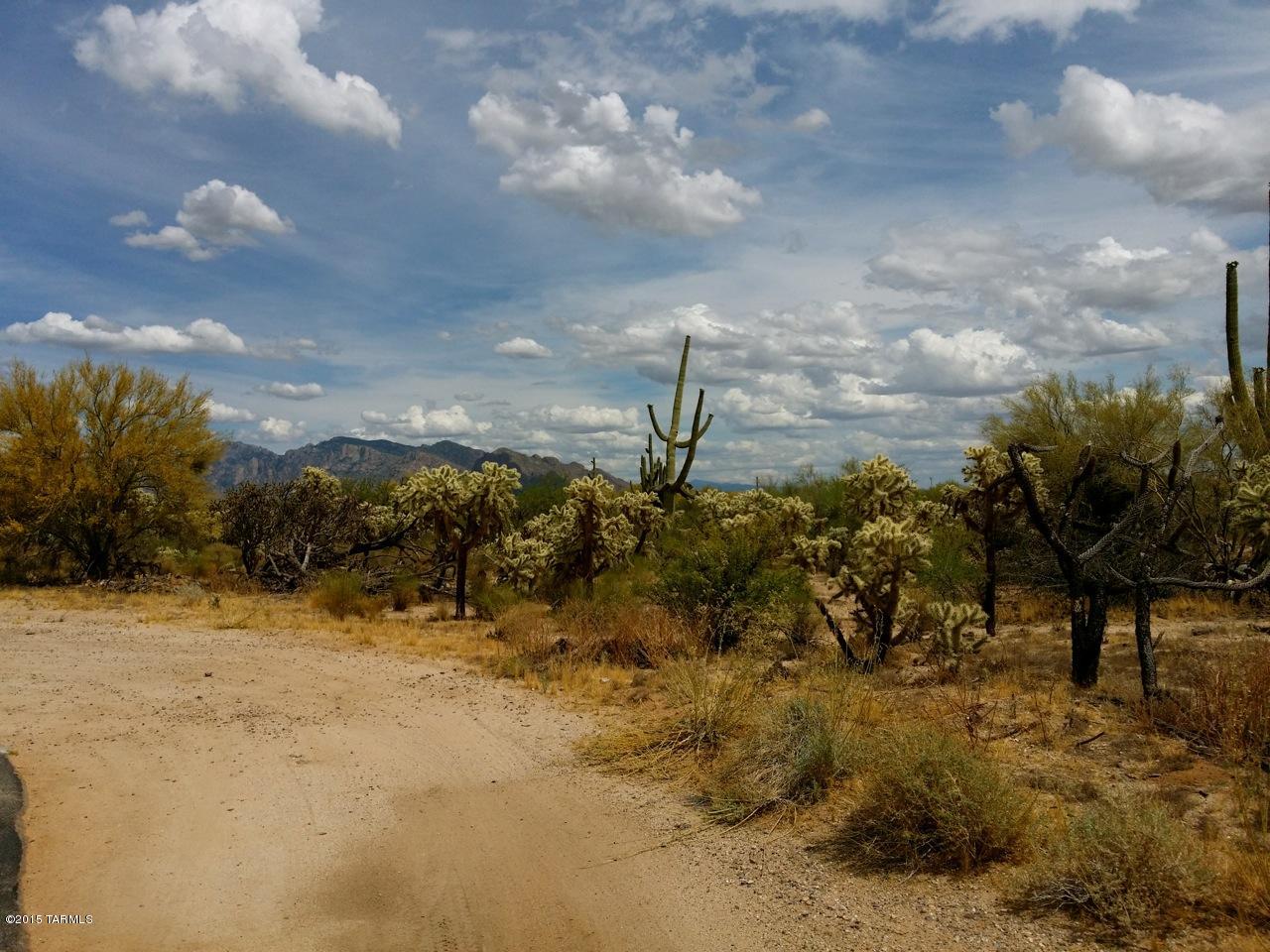 0 West Twin Peaks Road Tucson, AZ 85742 - Photo 10 of 13 a view of a yard