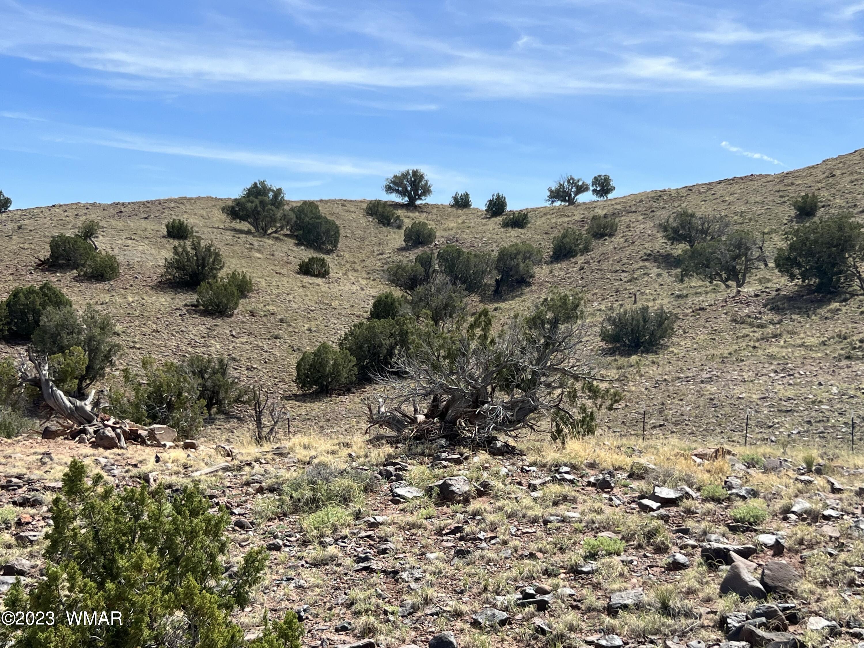 122 County Road Concho, AZ 85924 - Photo 23 of 28