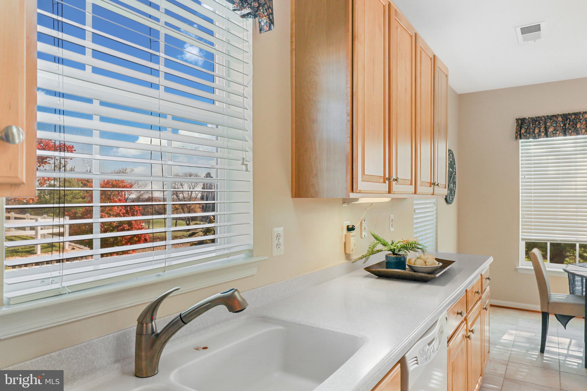 7315 Brookview Road, Unit 106 Elkridge, MD 21075 - Photo 23 of 47 Excellent counter space for food prepping