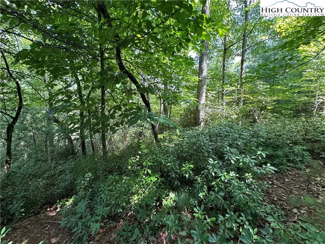 $94,500 | Lot 27 Cascade Run, Purlear, NC 28665