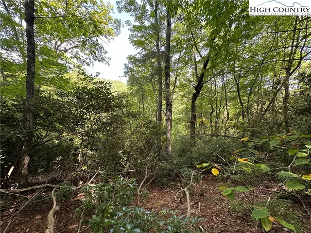 $94,500 | Lot 27 Cascade Run, Purlear, NC 28665