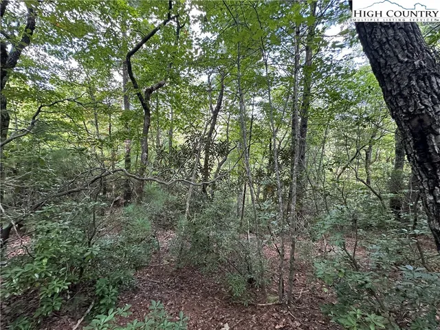 $94,500 | Lot 27 Cascade Run, Purlear, NC 28665