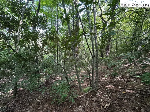 $94,500 | Lot 27 Cascade Run, Purlear, NC 28665