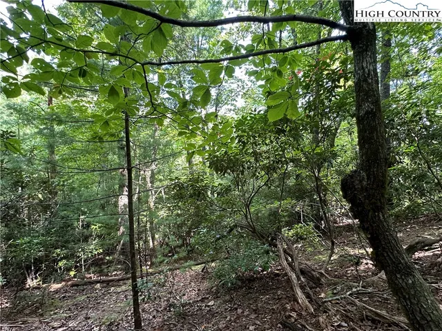 $94,500 | Lot 27 Cascade Run, Purlear, NC 28665