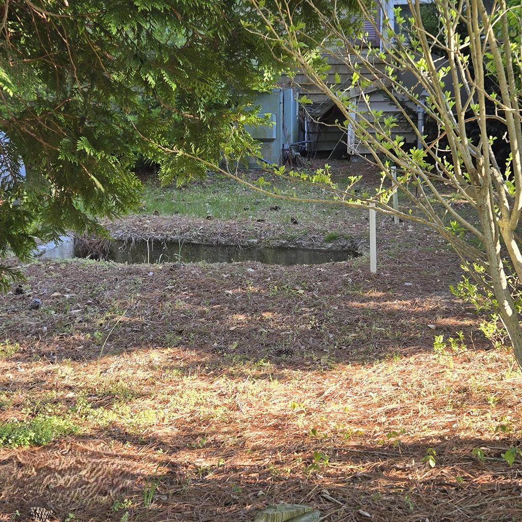 27282 Cheapside Road Cape Charles, VA 23310 - Photo 16 of 16 a view of a wooden door and yard