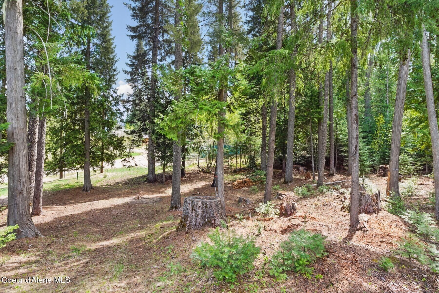 Lot 30 Bruin Road Nordman, ID 83848 - Photo 3 of 13 Manicured and Wooded