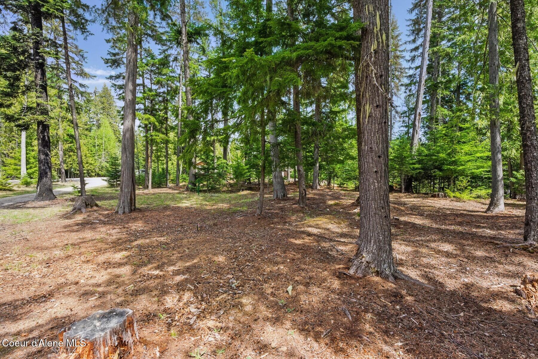 Lot 30 Bruin Road Nordman, ID 83848 - Photo 4 of 13 Perfect Location