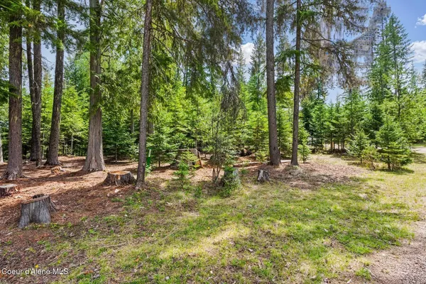 $235,000 | Lot 30 Bruin Road, Nordman, ID 83848