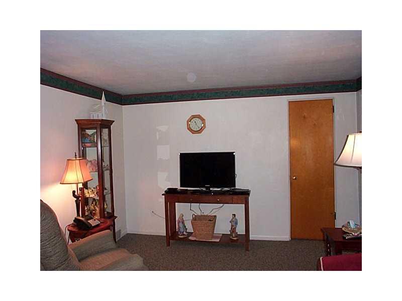 124 Starling Drive McKees Rocks, PA 15136 - Photo 6 of 15 Living Room.